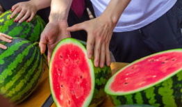 长清大学aj吃瓜爆料,揭秘校园风云背后的真相